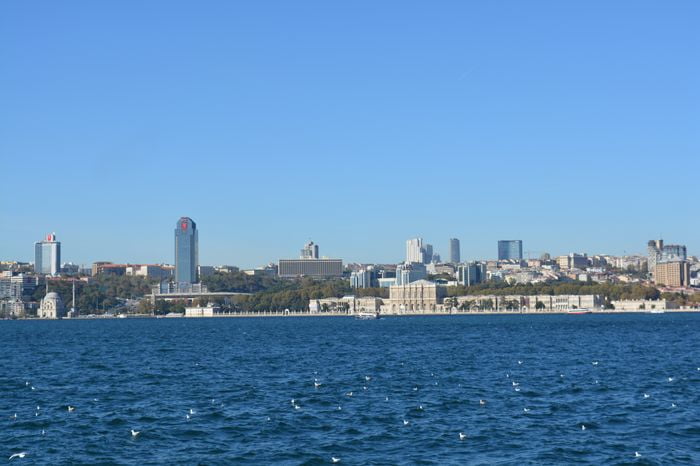 image-.jpg