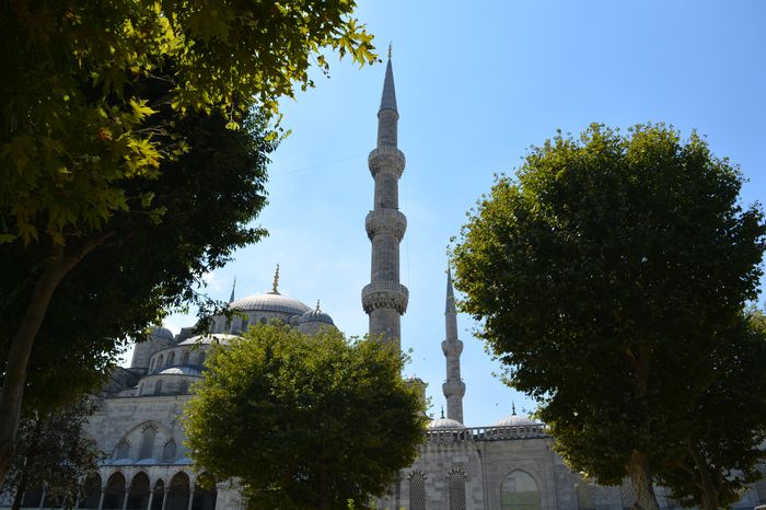 Italians living in Ravenna