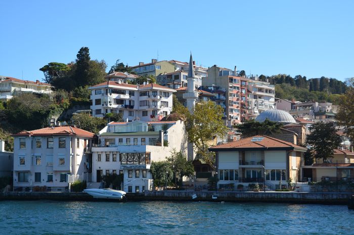 image-.jpg