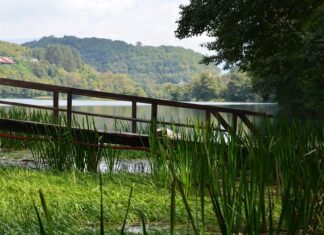 Pliny the Younger and the Christians of Anatolia